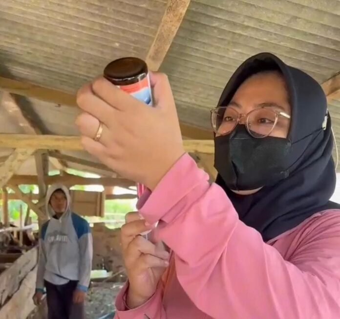 Pemkab Sumbawa Terima 12.500 Dosis Vaksin PMK