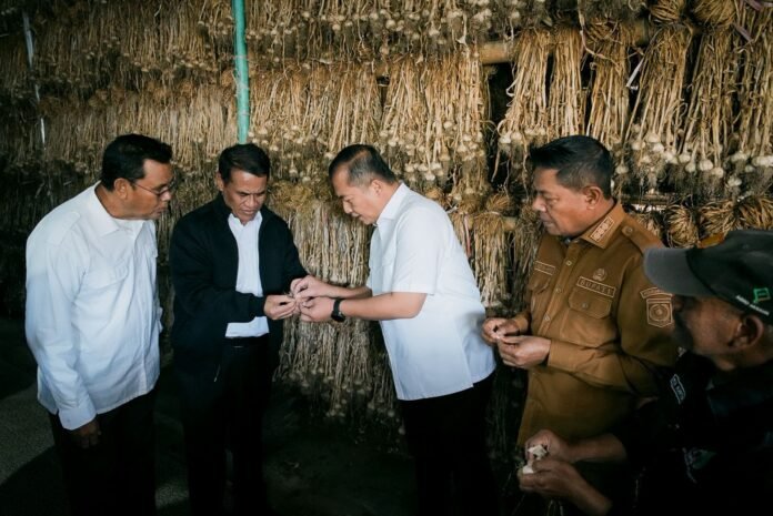 Mentan RI Sebut Kualitas Bibit Bawang Putih Sembalun Ungguli Impor