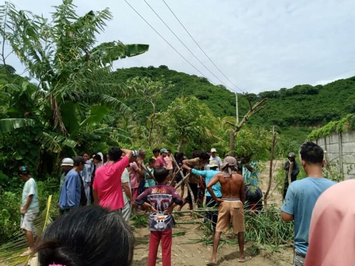 Warga Batu Kumbu Sekotong Tanam Pohon di Tengah Jalan