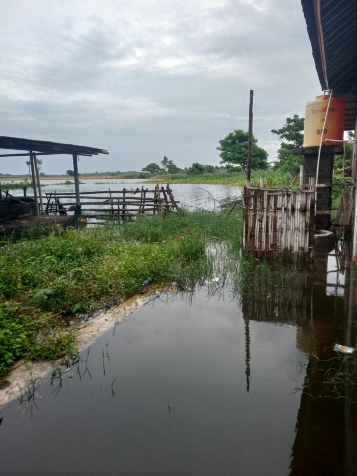 Tak Kunjung Surut, Pemkab Lotim Kesulitan Atasi Banjir Luapan Embung Bedah