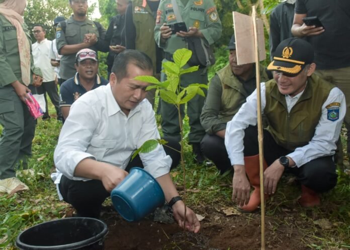 Gubernur NTB Akui Bencana Alam yang Terjadi Dipicu Kerusakan Hutan