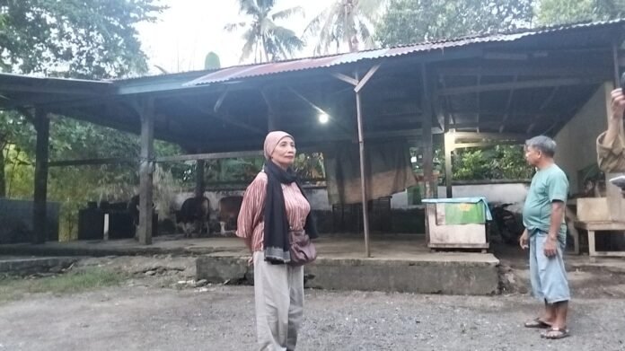 Kurang Diurus Dinas Pertanian, Warga Keluhkan Kondisi RPH Jakem Lembar Memperihatinkan