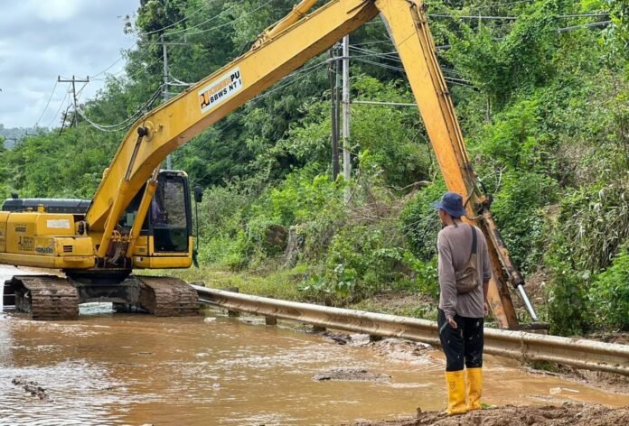 ITDC Dukung Upaya Pelestarian Alam Sekitar Kawasan Mandalika