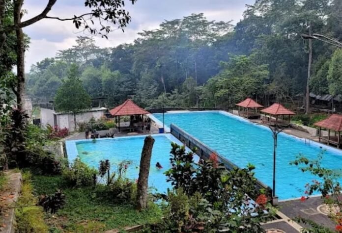 Sewa 25 Hektare Lahan TNGR, Pemkab Lotim Menunggu Izin Prinsip Kemenhut