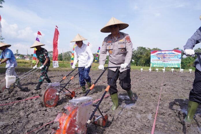 Tanam Jagung Serentak di Loteng, Kapolda NTB Ajak Perkuat Sinergi Pangan
