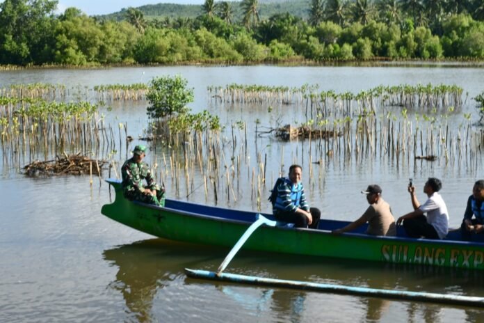 Rimbun Tanaman Bakau Sugian Jadi Daya Tarik Wisata yang Memukau