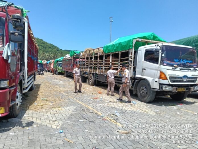 Pemprov NTB Bersurat ke Kemenhub untuk Penambahan Kapal Pengiriman Ternak
