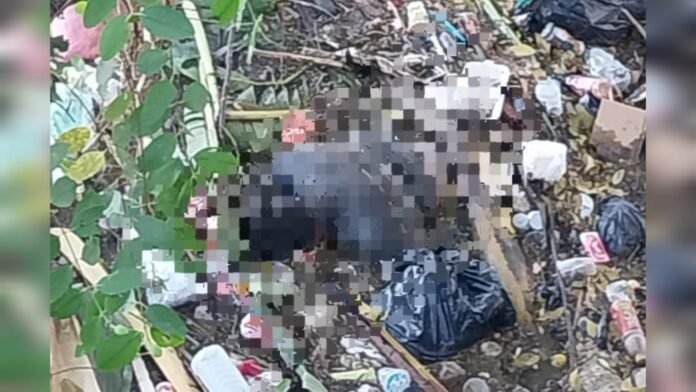 Diduga ODGJ, Seorang Warga Ditemukan Meninggal di Sungai Brang Biji