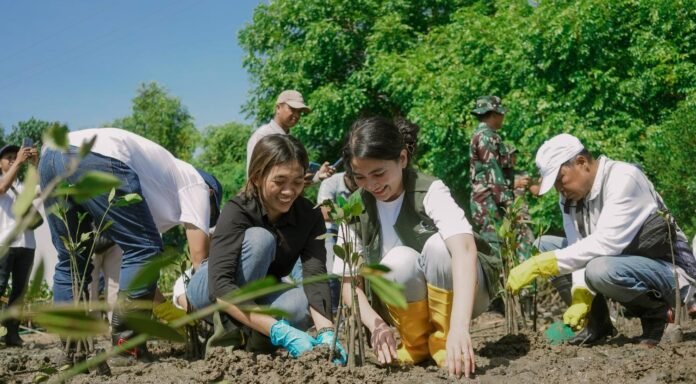 Rehabilitasi 5,2 Hektae Mangrove Kawasan The Mandalika, ITDC Canangkan Gerakan Tanam 15 Ribu Pohon