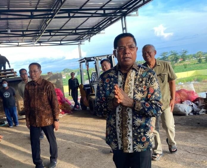 Bahan Baku Industri Porang Lotim Didatangkan dari NTT