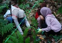 Revitalisasi Gaharu Berkelanjutan, Kolaborasi Global Unram di KHDTK Senaru Revitalisasi Gaharu Berkelanjutan, Kolaborasi Global Unram di KHDTK Senaru