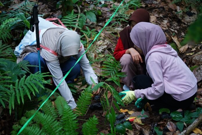 Revitalisasi Gaharu Berkelanjutan, Kolaborasi Global Unram di KHDTK Senaru