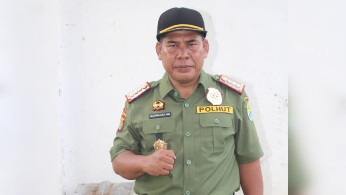 Dinas LHK Gandeng Perusahaan Swasta, Jaga Hutan Bima-Dompu dari Aktivitas Ilegal