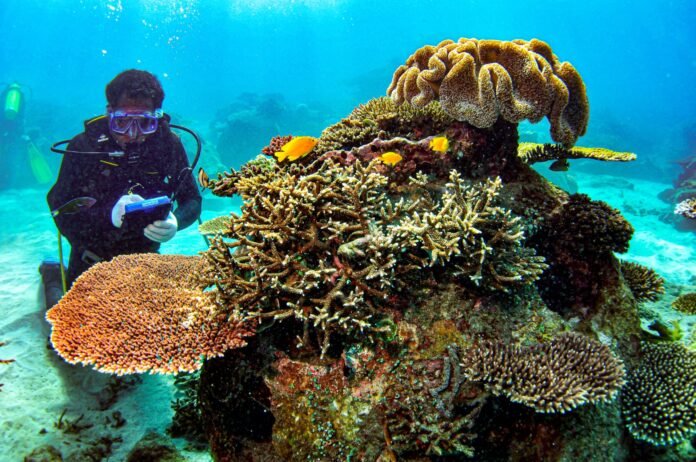 Lampaui Standar Kepatuhan Sosial dan Lingkungan, AMMAN Raih Predikat PROPER Hijau 2026