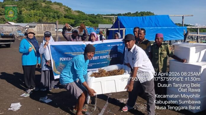 Serahkan Satu Ton Bibit Rumput Laut