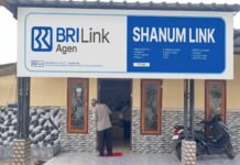 Holding Ultra Mikro Perluas Dampak, Perempuan Ini Makin Produktif dan Cuan Melalui BRILink Agen Mekaar