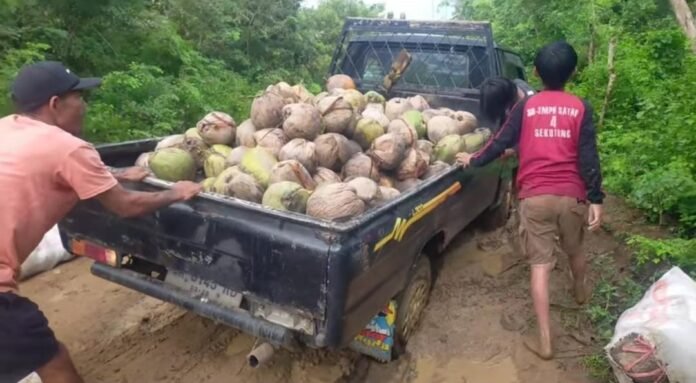 Melihat Kondisi Daerah Terpencil Dusun Serero, Warga Sakit dan Melahirkan Digotong, Ekomoni Mandek Akibat Jalan Rusak