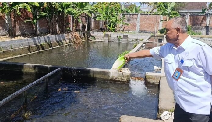 Dampak MBG, PD Agro Selaparang Bisa Pertahankan Eksistensi Bisnis