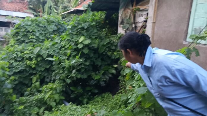 Kontras dengan Alun-alun Kota Gerung, Rumah Warga Seganteng Rusak Akibat Abrasi Sungai
