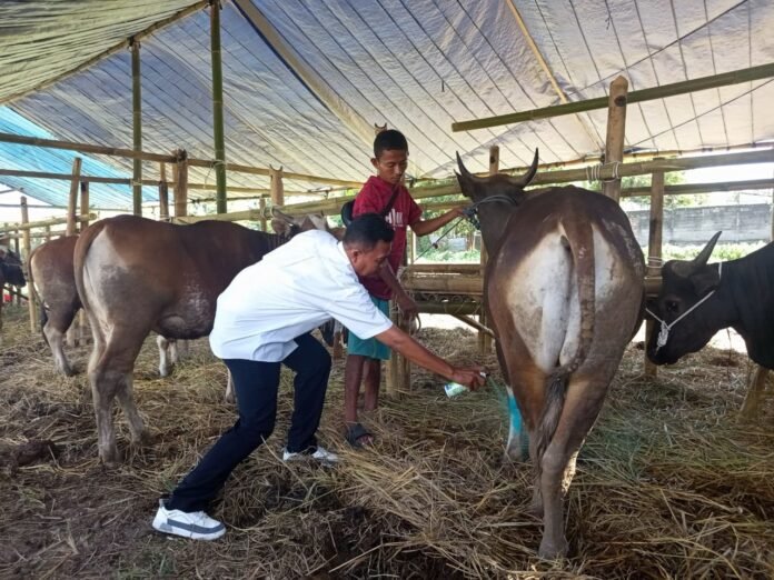 Lapak Hewan Kurban di Mataram Mulai Diperiksa