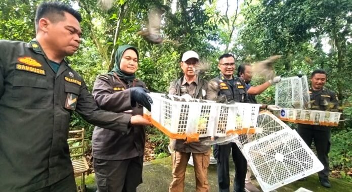 1.392 Ekor Burung Sitaan Dilepasliarkan Kembali ke TWA Suranadi