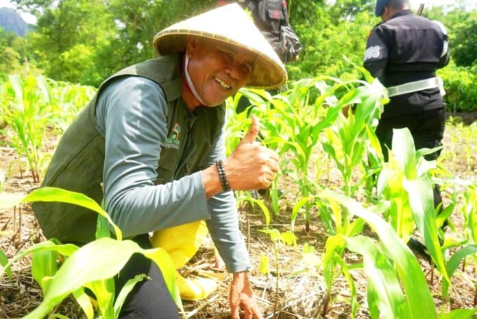 45.054 Hektar Lahan di Sumbawa Sangat Kritis