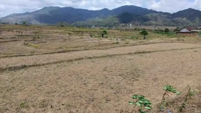 Tutupi Ketimpangan, Pokir DPRD Lobar Masuk DIPA Program “Rp1 Miliar per Desa”