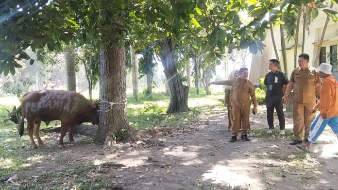 Ratusan Paket Daging Disiapkan bagi Petugas Kebersihan dan Penjaga Malam di Lobar