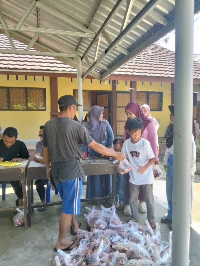 Kurban di SDN 4 Perian, Sembilan Guru Pakai Dana Sertifikasi Beli Sapi dan Kambing