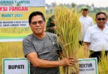 Bupati Lotim Tegaskan Jadikan Pertanian Fondasi Utama Pembangunan Bupati Lotim Tegaskan Jadikan Pertanian Fondasi Utama Pembangunan