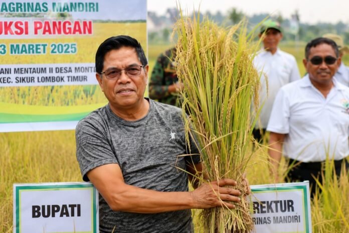 Bupati Lotim Tegaskan Jadikan Pertanian Fondasi Utama Pembangunan