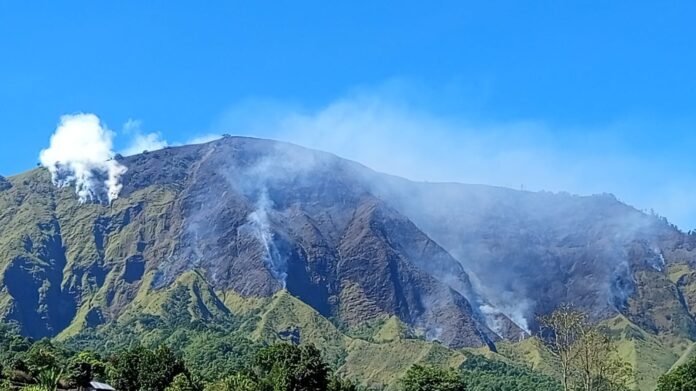 Kawasan Bukit Sempana Sembalun yang Terbakar Capai 116 Hektare