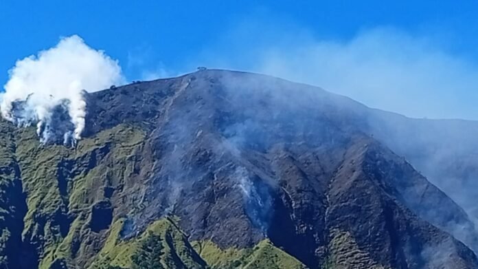 Berhasil Dipadamkan, Kebakaran Bukit Sempana Sembalun Meluas hingga 282 Hektare