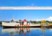 Ketika Aturan Kemenhub Sebabkan Pergerakan Kendaraan Listrik Via Laut Terbatas Ketika Aturan Kemenhub Sebabkan Pergerakan Kendaraan Listrik Via Laut Terbatas