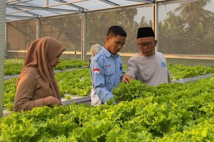 Serap Bahan Baku dari Desa, Bumdes dan SPPG Dasan Tapen Ciptakan Kemandirian Pangan Lokal