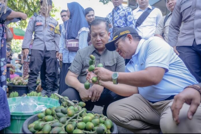 Jalan Menuju Harapan, Menguji Ikhtiar Program Desa Berdaya di Kawasan 3T