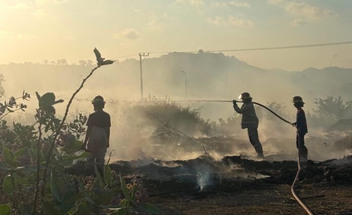 Marak, Pembakaran Lahan di Kawasan The Mandalika