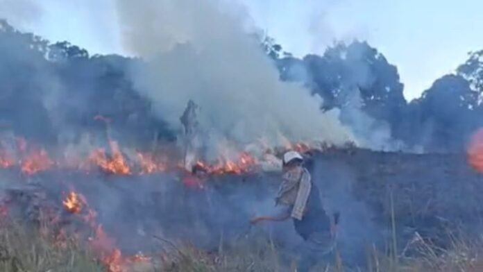 Tim TNGR Berhasil Padamkan Api yang Melahap Savana Propok Rinjani