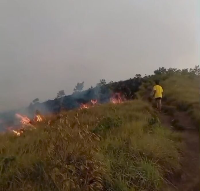 Bukit Sempana Sembalun Terbakar