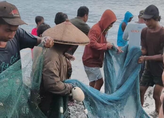 Produksi Tongkol Nelayan Mataram 2.000 Ton per Tahun, Pasokan Masih Bergantung dari Luar