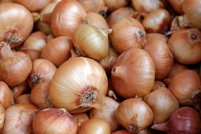 Harga Pangan NTB: Bawang Bombai dan Bawang Putih Naik Akibat Stok Menipis