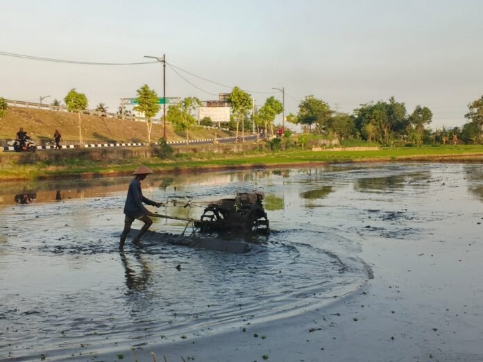 Investor Surabaya Tertarik Bangun Pabrik Beras di Lombok