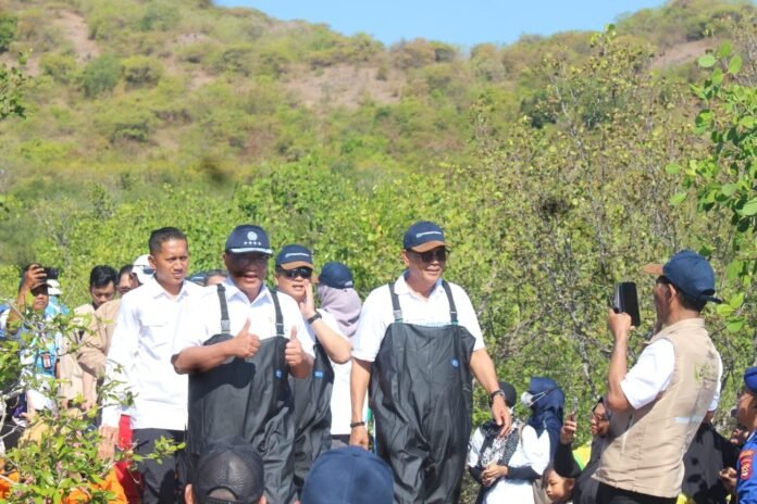Indonesia Siap Ambil Bagian di Pasar Karbon Dunia