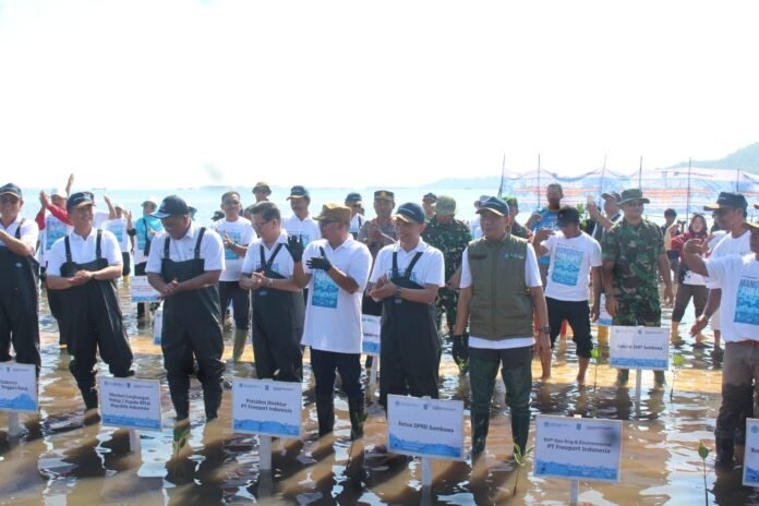 30 Persen Hutan Mangrove di Indonesia Rusak