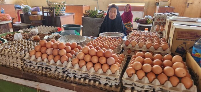Harga Telur Anjlok, Peternak Unggas Tawarkan Lelang Kandang Demi Bayar KUR