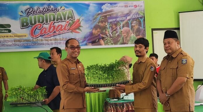 Jalankan Instruksi Gubernur, NTB Galakkan Gerakan Tanam Cabai dari Sekolah