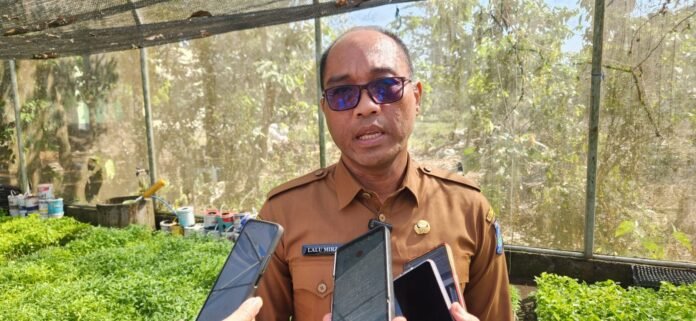 Pemprov NTB Yakin Musim Tembakau 2026 Menguntungkan Petani