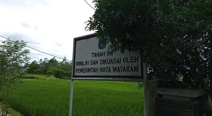 Pusat Tetapkan KP2B di NTB Minimal 87 Persen