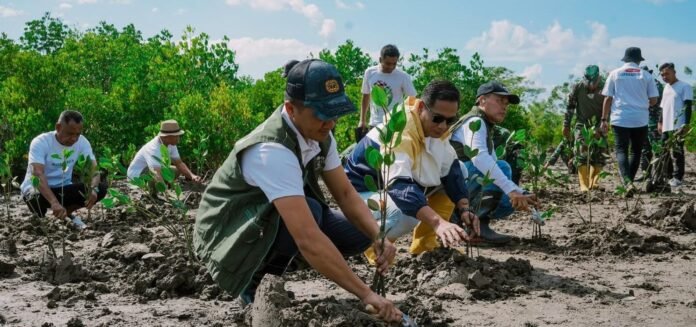ITDC Gandeng IPB Susun FS Pelestarian Mangrove di Kawasan Mandalika