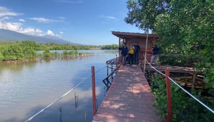 Menyusuri Ekowisata Mangrove Sugian, Rumah bagi 17 Spesies Tanaman Bakau Terlengkap Se-Asia